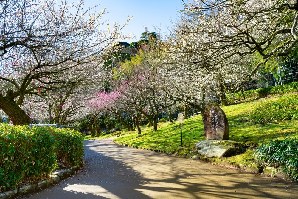 🏞️ 공주 계곡 공원 (히메노사와 공원) 이미지 6